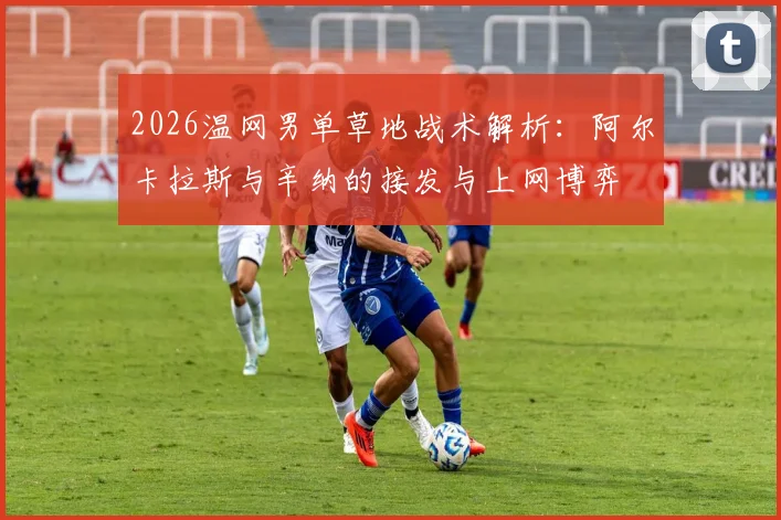 2026温网男单草地战术解析：阿尔卡拉斯与辛纳的接发与上网博弈