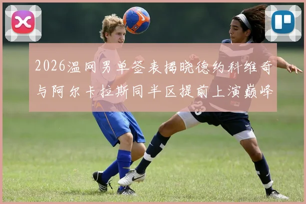 2026温网男单签表揭晓德约科维奇与阿尔卡拉斯同半区提前上演巅峰对决