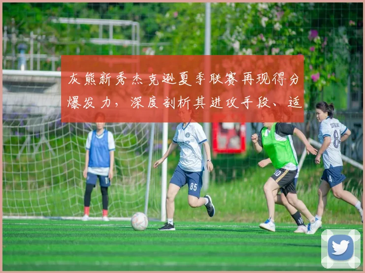 灰熊新秀杰克逊夏季联赛再现得分爆发力，深度剖析其进攻手段、适应能力与成长预期